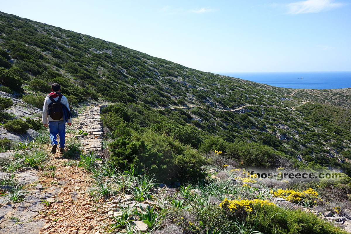 Stigen för Ai Nikolas på våren