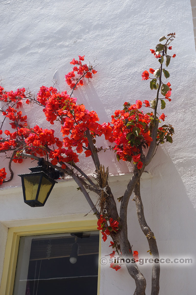 Promenader runt byn Artemonas
